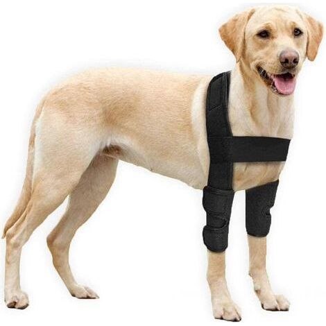 Coudière pour chien pour épaules, pattes avant, luxations, escarres, blessures, arthrite, perte de stabilité (L) (1/5)