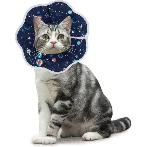 Collier anti-morsure réglable pour chats et chiots, avec cône de protection confortable et de récupération, bleu (S) (1/5)