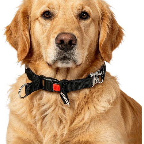 No Pull Martingale Collar for Large Medium Dogs to Train Walking Collar with Buckle Anti Pull, Fit Pitbull German Shepherd Doberman,(Black, perimeter21.65", 1.38" Wide) (1/5)