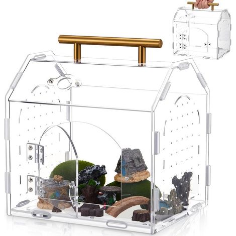 Vivarium en acrylique pour araignée sauteuse, 22,6 x 13,9 x 17,5 cm, terrarium en acrylique transparent, boîte de bricolage, terrarium pour reptiles, boîtier polyvalent pour araignée sauteuse (1/5)