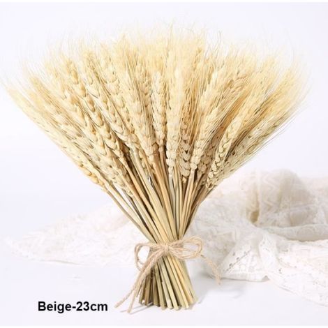Épi de blé - Séché naturel - 23 cm - Beige - Décoration intérieure mariage Noël - Lot de 100 pièces (1/4)