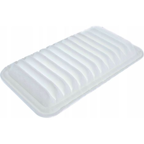 Filtro aria DAIHATSU TERIOS (1/5)