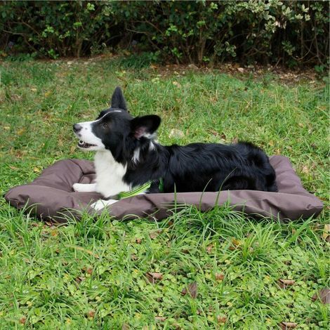 Lits de chiens caissement palice extérieur camping pliable animal de compagnie 600d tissu oxford mat à gratte étanche - conception portable adaptée à la rétention de chaleur moyenne et petits chiens i (1/4)