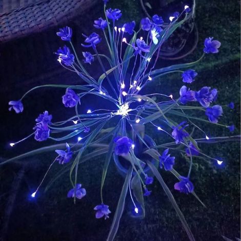 Lampes solaires d'extérieur pour orchidées Phalaenopsis - Bleues-Online Store (1/2)