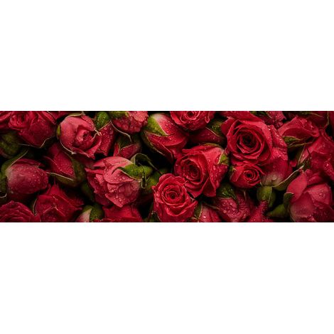 Tableau sur toile roses rouges 30x97 cm - Impression sur Toile Murale Décorative - Image imprimée en HD sur Toile - Toile sur Châssis en Bois FSC - Fabriqué en France (1/5)