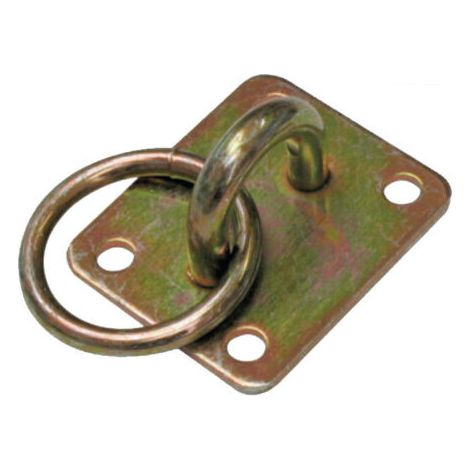 PIASTRA CAVALLOTTO CON ANELLO ACCIAIO MM 60X50X3 (29565)