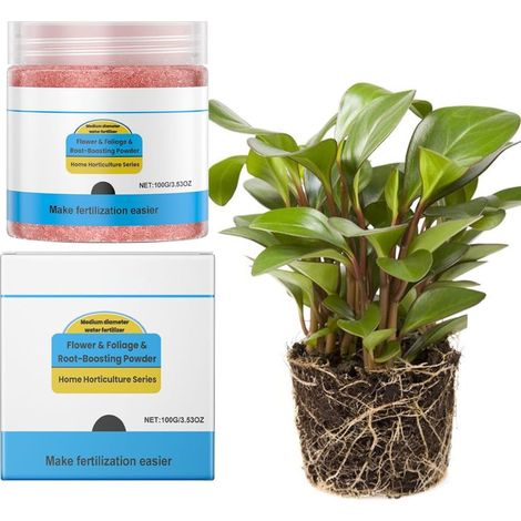 Bewurzelungspulver 100 g Schnelles Pflanzenbooster
