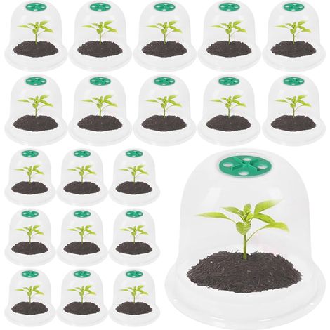 20 PCS Garden Plant Cloches, 19CM x 16CM, Couverture protectrice pour Les semis pour protéger Les Plantes des Oiseaux, Convient pour Les légumes, Les semis, Les Fleurs et Les semences de Fruits (1/5)