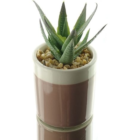 Kaemingk – Mini-succulente artificielle en pot en faïence brun clair – Hauteur 12 cm