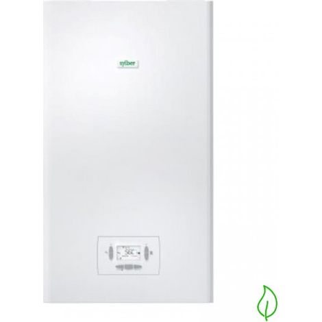 Caldaia murale a condensazione linea C 30 CP Eco Metano - Sylber (1/3)