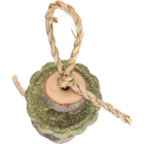 Jouets à mâcher pour lapins, bâtonnets en bois de pommier pour hamsters, galettes d'herbe, jouets pour molaires pour le grincement des dents (1/5)