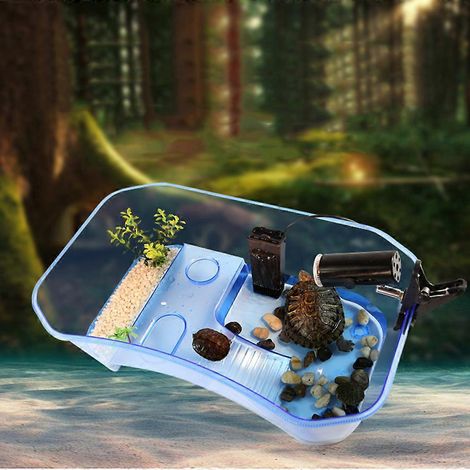 Boîte de nourrissage pour tortues avec plateforme chauffante et rampe d'accès - Accessoires pour aquarium