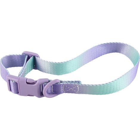 Verstellbares, stylisches und farbenfrohes Hundehalsband aus weichem und strapazierfähigem Polyester, ideal für Spaziergänge im Freien. Lila-grünes Design. Größe M. Breite: 2 cm. Verstellbare Länge: 3 (1/5)