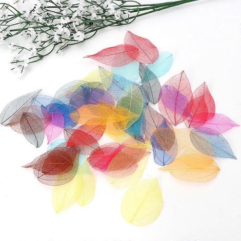 50 feuilles de caoutchouc naturel séchées (paquet de 50) pour décorations de mariage, fêtes et maison (à faire soi-même) (1/4)