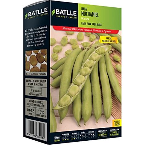 Batlle - Semi di fava