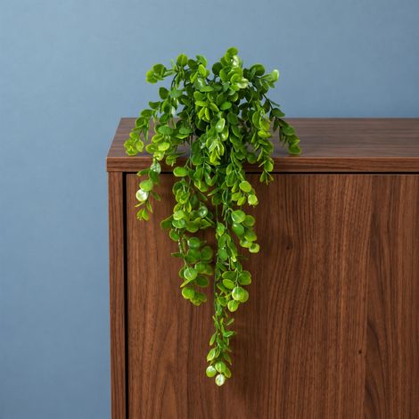 75cm Artificial Trailing Round Leaf Foliage Plant Classic Gloss Green (1/5)