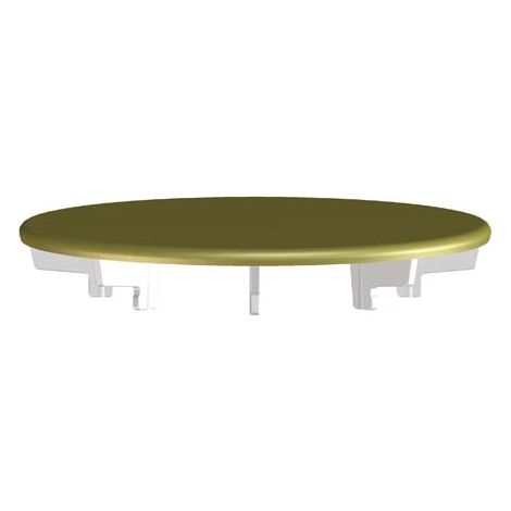 HL522.11 AbdeckPl. gold d 112mm