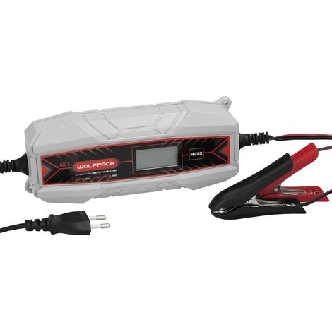 Avviatore di emergenza per auto, caricabatteria automatico 4/12V 10-100Ah