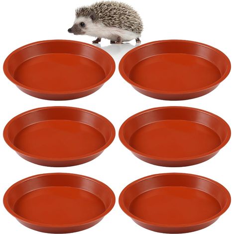 6 Pièces Gamelle pour Hérisson d'Extérieur, 13,2cm Largeur 2cm Profondeur (1/5)