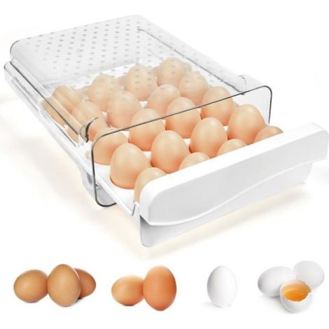 Boîte à œufs en plastique PP +PET de haute qualité-24,5x12x7cm Rangement Oeufs Frigo Boite Oeufs Peut contenir 20 œufs (1/5)