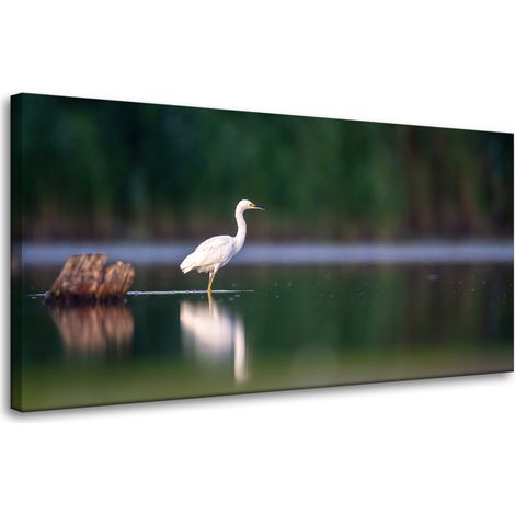 Leinwanddruck Tiere Weißer Reiher 80x40 cm