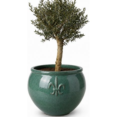 Lot olivier + pot grande taille CLOVIS 72x75cm jade, fait main en terre cuite émaillée