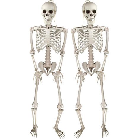 Deco Halloween Squelettes Réalistes d'Posable pour Intérieure et Extérieure, Accessoires Fête Halloween -2PCS- (1/5)