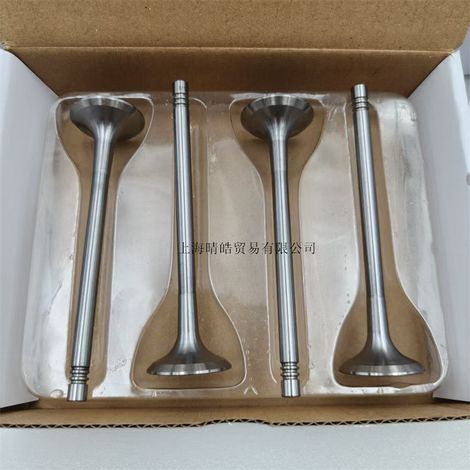 06J109601H and 06J109611D are applicable to the intake and exhaust valves of Audi Q5, Volkswagen EA888, Tiguan, and Golf. (1/4)