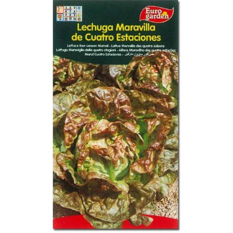 semillas fito horticolas lechuga maravilla 4 estaciones 00211 (caja 10 unidades)