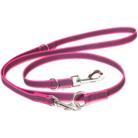 Julius laisse 3 positions 20mm x 2,2m rose (1/2)