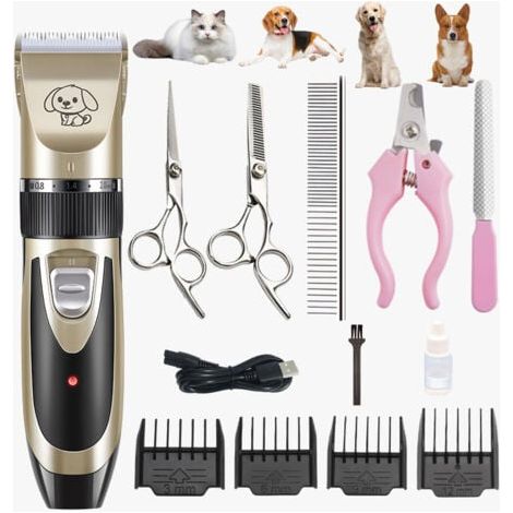 Aiperq Rechargeable tondeuse professionnelle pour animaux de compagnie avec accessoires , amovibles et lavables , pour chiens, chats (or noir) (1/4)