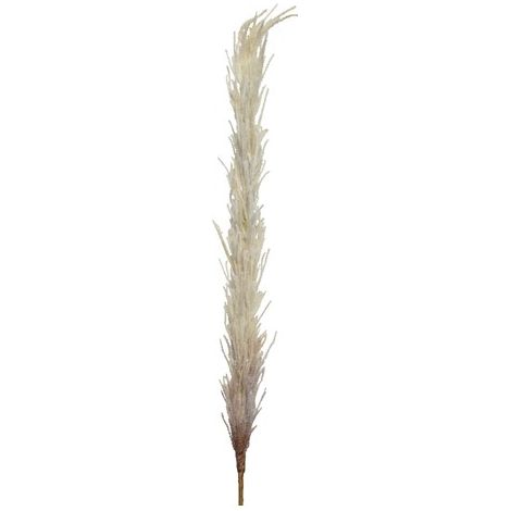 PAMPAS DECORATIVA CREMA H100CM (1/2)