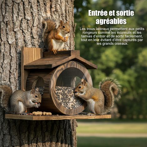 Mangeoire Ecureuil Exterieur en Bois, Distrubuteur de Nourriture Écureuils, Maison Ecureuil (1/4)
