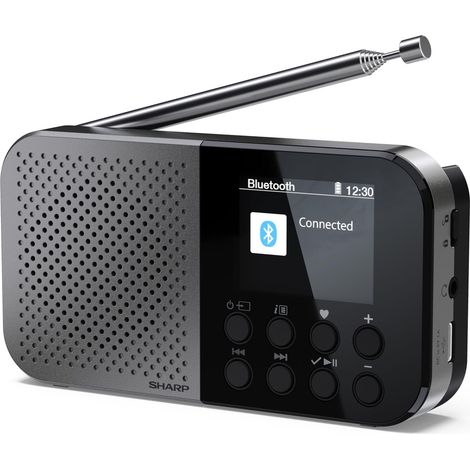 Sharp DR-P520 Personal Digital Gris