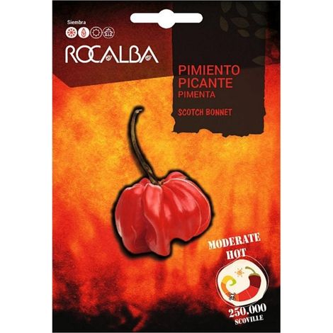 Rokalba wÐ©rzige Pfeffer Scotch Bonnet, 25 Samen