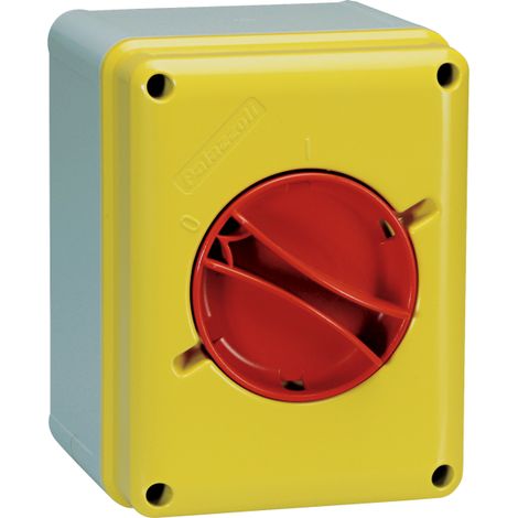 Interruttore Sezionatore da parete in tecnopolimero da 25A, Giallo-Rosso