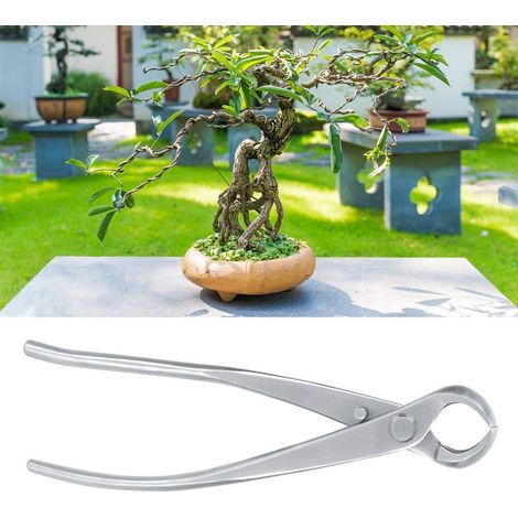 Bonsai-Astschneidewerkzeug (1/5)