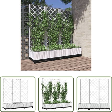 Plantes grimpantes -  Jardinière avec treillis Blanc 120 x 40 x 121,5 cm PP (1/5)