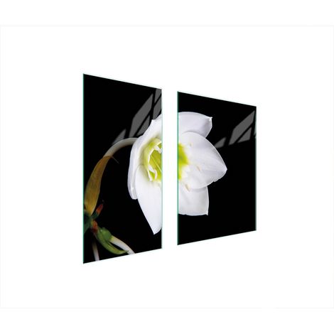 Glasschutzplatte 75x52 Orchidee (1/5)