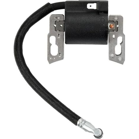 Remplacer la Bobine d\'allumage pour Briggs & Stratton Magneto Armature 495859 491312 490586 492341 Nouveau