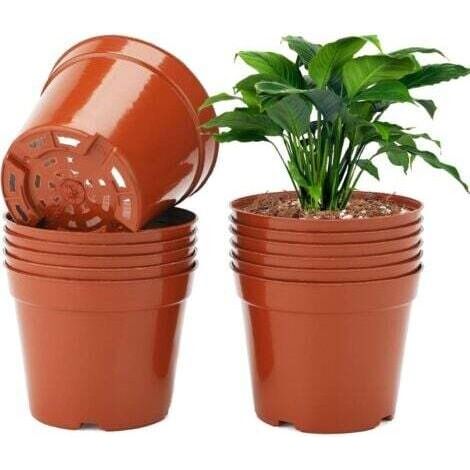 Ineasicer 50 Pièces 10CM Pot pour Semis,Pot de Fleurs Plastique Plante Exterieur,Pot Rempotage,Godets pour Semis Tomates,Brun (1/5)