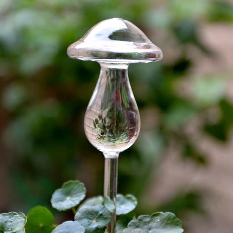 Arrosoir Automatique - Globe En Verre Soufflé À La Main - Pour Plantes D’intérieur Et D’extérieur - 1 Pièce (1/4)