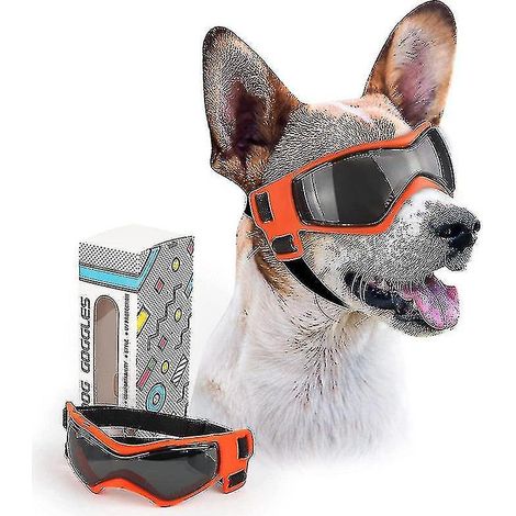 Lunettes pour chien de petite race, faciles à enfiler, protection UV/vent/poussière/buée réglable, rouges (1/5)