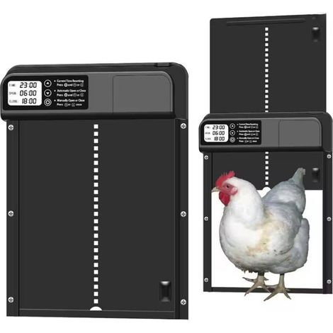 Porte automatique pour poulailler, ouvre-porte électrique pour volailles avec option solaire, en aluminium (1/5)