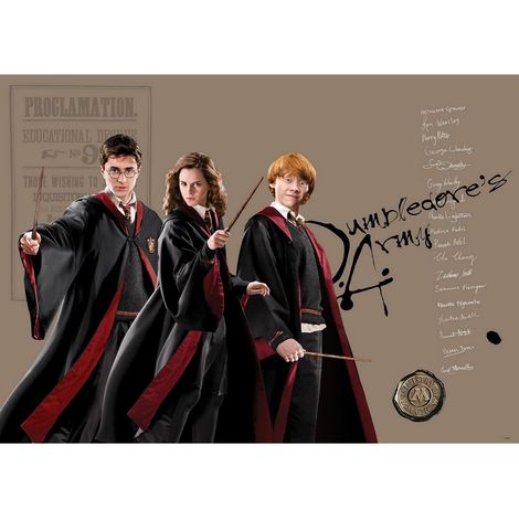 Poster intissé - Harry Potter et ses amis - Hermione et Ron - 155 x 110 cm (1/4)
