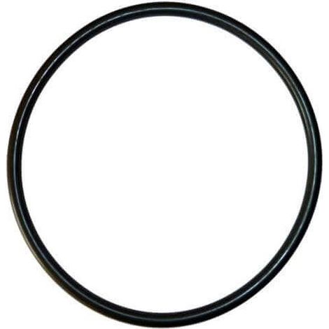 Joint de couvercle filtre à sable 400/500/600 – Étanchéité parfaite – Ajustement précis pour filtres AstralPool – Installation simple