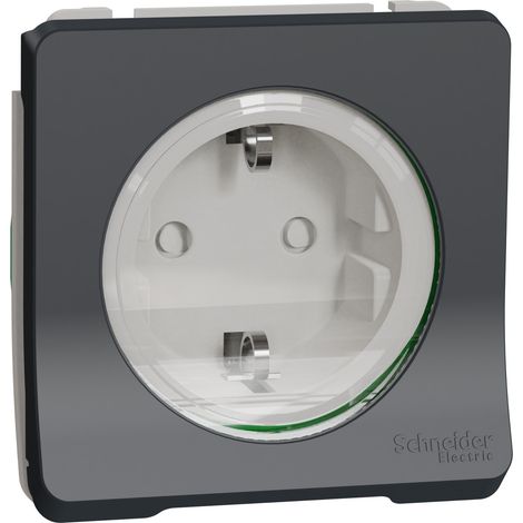 Prise 2P+T étanche - IP55 - Composable - Mureva - MUR36134 - Schneider
