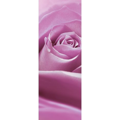 Komar Wandtapete - Pink Rose - 280 x 100 cm - Vlies Digitaldruck - klassischer Stil (1/2)