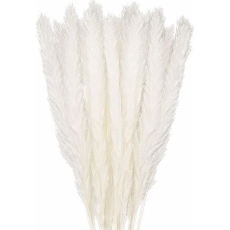 Dried Pampas Grass Decoration Set of 30, Decorative Flower Bouquet for Home Vase, Pampas Feather Grass 45cm Decorative Plant Decoration Table, Bedroom, Balcony, Wedding, Hotel, Beige(45cm) (1/4)