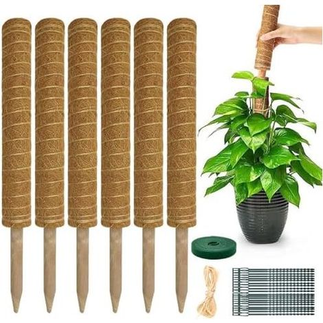 Monstera-Pflanzenstütze – Ausziehbare, gerade 4 Stängel (42 cm lang, bis zu 133 cm), Moos, für Zimmerpflanzen, Kletterpflanzen, Kokosfaser, 6er-Pack (1/5)